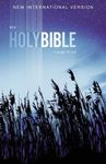 Outreach Bible-NIV - 圖片 1