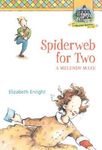 Spiderweb for Two: A Melendy Maze - 圖片 1