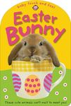 Baby Touch & Feel: Easter Bunny: These Cute Animals Can't Wait to Meet You! - 圖片 1