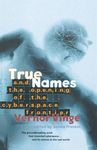True Names: And the Opening of the Cyberspace Frontier - 圖片 1