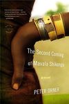 The Second Coming of Mavala Shikongo - 圖片 1