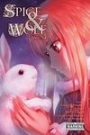 Spice and Wolf, Vol. 14 (Manga) - 圖片 1