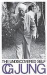 The Undiscovered Self - 圖片 1