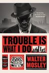Trouble Is What I Do - 圖片 1