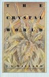 The Crystal World - 圖片 1