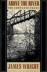 Above the River: The Complete Poems - 圖片 1