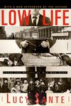 Low Life: Lures and Snares of Old New York - 圖片 1