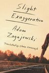 Slight Exaggeration: An Essay - 圖片 1