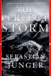 Perfect Storm - 圖片 1