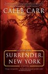 Surrender, New York - 圖片 1