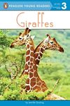 Giraffes - 圖片 1