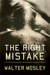 The Right Mistake - 圖片 1