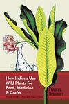 How Indians Use Wild Plants for Food, Medicine & Crafts - 圖片 1