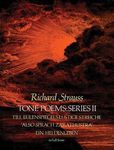 Tone Poems in Full Score, Series II: Till Eulenspiegels Lustige Streiche, Also Sprach Zarathustra and Ein Heldenleben - 圖片 1