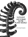Art Forms in the Plant World - 圖片 1
