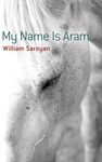 My Name Is Aram - 圖片 1