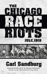The Chicago Race Riots: July, 1919 - 圖片 1