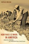 How Race Is Made in America: Immigration, Citizenship, and the Historical Power of Racial Scripts Volume 38 - 圖片 1