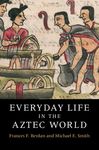 Everyday Life in the Aztec World - 圖片 1