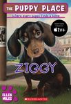 Ziggy (the Puppy Place #21) - 圖片 1