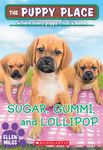 Sugar, Gummi and Lollipop (the Puppy Place #40): Volume 40 - 圖片 1