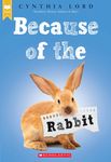Because of the Rabbit - 圖片 1