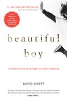 Beautiful Boy: A Father's Journey Through His Son's Addiction - 圖片 1