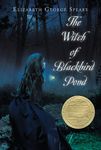 The Witch of Blackbird Pond - 圖片 1