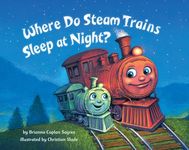 Where Do Steam Trains Sleep at Night? - 圖片 1