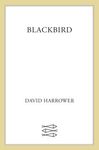Blackbird - 圖片 1
