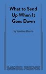 What to Send Up When It Goes Down - 圖片 1