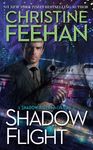 Shadow Flight - 圖片 1