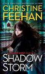Shadow Storm - 圖片 1