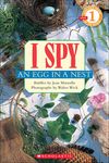 I Spy an Egg in a Nest - 圖片 1