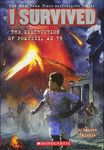 I Survived the Destruction of Pompeii, 79 A.D. - 圖片 1
