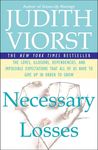 Necessary Losses: The Loves Illusions Dependencies and Impossible Expectations That All of Us Have - 圖片 1