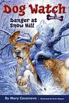 Danger at Snow Hill - 圖片 1