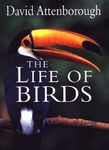 The Life of Birds - 圖片 1