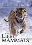 The Life of Mammals - 圖片 1