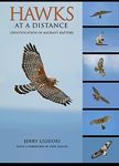 Hawks at a Distance: Identification of Migrant Raptors - 圖片 1