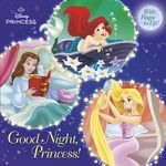 Good Night, Princess! - 圖片 1