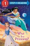 Disney Princess: What Is a Princess? - 圖片 1
