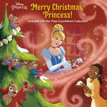 Merry Christmas, Princess! (Disney Princess) - 圖片 1