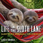 Life in the Sloth Lane: Slow Down and Smell the Hibiscus - 圖片 1