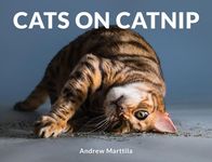 Cats on Catnip - 圖片 1