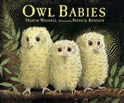 Owl Babies - 圖片 1