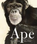 Ape - 圖片 1
