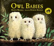 Owl Babies - 圖片 1
