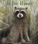 In the Woods - 圖片 1