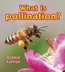 What Is Pollination? - 圖片 1